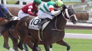 半姉は2歳女王のレシステンシア エスタンシアが念願の勝ち上がりなるか