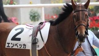 半姉はオークス馬のシンハライト エンベッカが距離延長で初勝利なるか