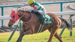 【チャレンジC】逃げ馬は低調 今年からハンデ戦で波乱傾向になるか