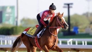 【愛チャンピオンS】シンエンペラー、現地で最終調整