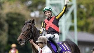 【セントライト記念枠順確定】ミュージアムマイルは5枠6番、レッドバンデは6枠8番