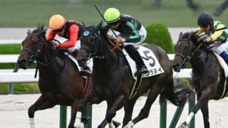 【阪神5R新馬戦結果】フィレンツェファイア産駒シラヌイが差し切り勝ち