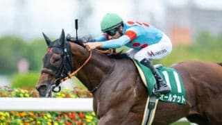 【チャレンジC】帰ってきたモレイラ流石の手綱さばき…オールナットを重賞初制覇に導く