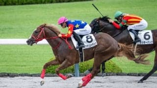 【阪神2R】断然人気イダテンシャチョウが初勝利