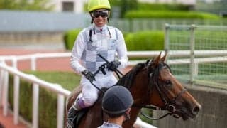 【鳥取特別】ダート替わり2戦目のマイノワールが抜け出す