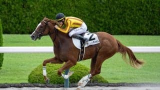 【新馬/阪神6R】エスポワールシチー産駒 クリムゾンキャットがデビューV