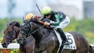 【新馬/阪神5R】シラヌイがデビューV…タワワの小崎綾也騎手は騎乗停止処分