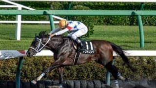 隠れた出世レースが距離短縮 ラジオ日本賞は今年からダ1200m戦に