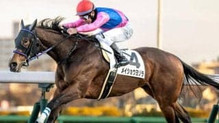 中山芝はディープ系が好調 御宿特別はメイショウヨゾラを信頼