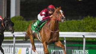 【アイリッシュチャンピオンS結果】シンエンペラーは6着 3歳馬ドラクロワが完勝でG1・2勝目