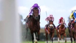 【愛チャンピオンS】2年連続出走のシンエンペラーは6着…勝利したのはA.オブライエンのドラクロワ