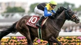 【今日の注目ポイント】ローズSでオークス馬カムニャックが始動