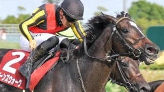 【ローズS】480kg以上の馬には要注意 高配当の使者は5-7番人気にあり