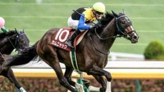 【ローズS予想】阪神芝1800mが舞台 先行争いは激化しにくいコース