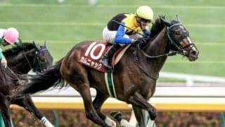 【ローズS予想】1着馬の前走パターンは2つ？ 過去データから探るGIIローズS