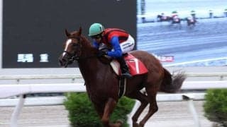 【高知・堆金菊特別】サンフラワームーンが逃げ粘りV…重賞挑戦へ視界良好