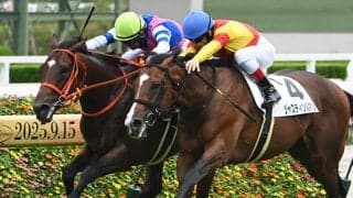 【阪神5R新馬戦結果】ハービンジャー産駒ブルースカイブルーが接戦を制す