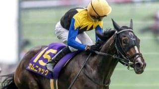 【ローズS・馬体重】カムニャックは482kg(+8)、チェルビアットは486kg(+8)