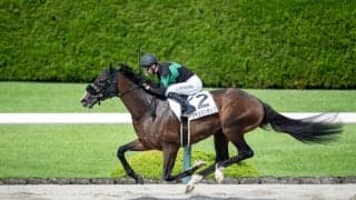 【阪神8R】モレイラ騎乗 シャンパンポップが断然の支持に応える