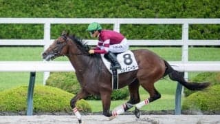 【新馬/阪神6R】単勝1.7倍ウェイニースーが7馬身差デビューV…ウマ娘・藤田晋氏所有馬