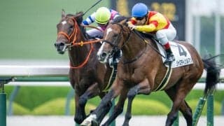 【新馬/阪神5R】ハービンジャー産駒 ブルースカイブルーがハナ差V