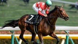 【セントライト記念予想】前走日本ダービー組の強さが目立つ！ 前走からの距離延長馬にも注目