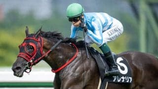 【能勢特別】アレナリアがしぶとく逃げ切る…単勝1.1倍エコロディノスは3着