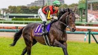 【セントライト記念前日オッズ】皐月賞馬ミュージアムマイルが2.7倍で1番人気