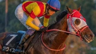 【JRAアニバーサリーS】兄姉2頭が海外G1馬 グラヴィスがオープン入りなるか