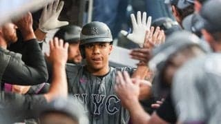 「ソトはオオタニより良い選手」　1129億円男が到達した偉業…NY笑顔「世代最高」