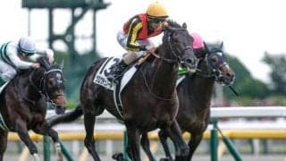 【仏・プランスドランジュ賞結果】クロワデュノールが海外重賞初制覇！ 凱旋門賞へ好発進！