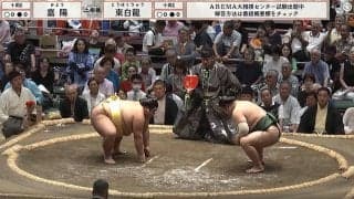 「お綺麗です」「気品がすごい」大相撲中継、十両取組から“ただならぬ”存在感の女性の姿「ホントお好きなんですね」ファン注目