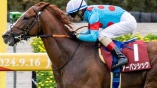 【セントライト記念】前走日本ダービー組が堅実 無理な穴狙いは禁物の一戦