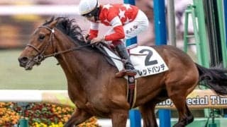 【セントライト記念予想】過去10年間で上がり最速馬が6勝 瞬発力と長く使える末脚がポイントに