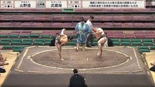 「耳がすごいことに」「変形してる」ベテラン力士に刻まれた28年間の“努力の証”にファン驚嘆