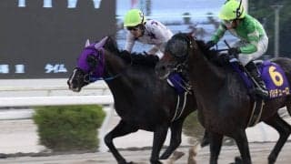 【高知・建依別賞】ロードインファイト、バリチューロとの激闘を制す！ハナ差決着