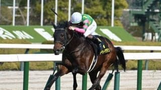 セントライト記念当日の中山芝は良 ジーティーアダマン＆サクラファレルが狙い目だ