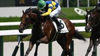 【阪神5R新馬戦結果】モズアスコット産駒アイガーリーが逃げ切り新馬勝ち