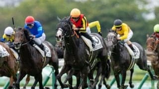 【中山4R】モーリス産駒 オルグジェシダが惜敗に終止符