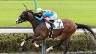 【中山3R】リオンディーズ産駒 ディーズゴールドが初勝利