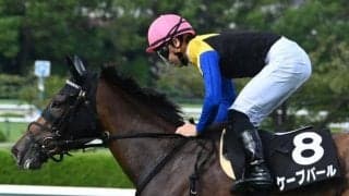 【JRA・WIN5】本日のWIN5は的中2633票、配当23万8220円