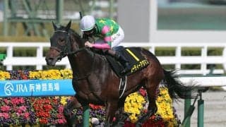 【競馬予想】堅い決着が多いセントライト記念だが、今年は人気の盲点となっている穴馬候補が２頭いる