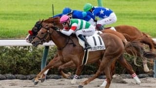 【新馬/中山6R】ルヴァンスレーヴ産駒 カリヨンアヴォンがデビューV