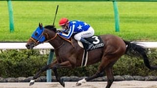 【鋸山特別】モレイラ騎乗 リアライズカミオンが断然の支持に応える