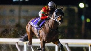 【大井・東京記念枠順】23年にダートグレード競走2勝のグロリアムンディは7枠12番