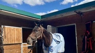 【愛セントレジャー】アルリファーが4馬身差圧勝でG1・3勝目…メルボルンカップへ