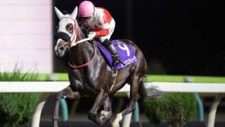 【水沢・若駒賞】岩手の新星セイクリスティーナ、6馬身差の完勝