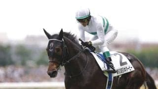 【神戸新聞杯登録馬】ショウヘイなど12頭