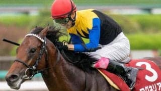 夏の休養から“馬肥ゆる秋” 馬体重2桁増で神戸新聞杯を勝利した馬たち