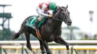 【阪神JS想定騎手】ジューンベロシティは高田潤騎手、ネビーイームは小牧加矢太騎手